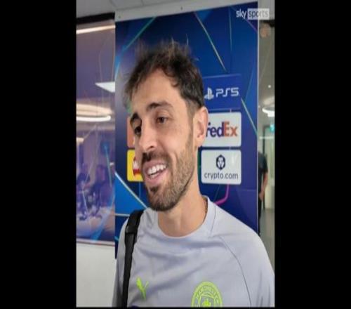 若四项冠军 若四项冠军